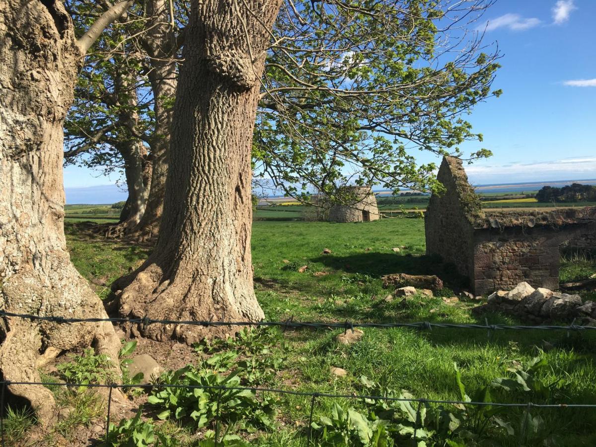 Buckton Farmhouse Belford Exterior photo